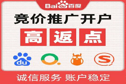 某行业领军企业的SEM广告投放策略